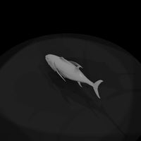 bluefin-tuna-miniature-diorama-display-185268 — thumbnail 7