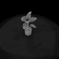 stylized-monochrome-potted-monstera-3d-model-4kilt — thumbnail 6