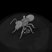 nightmare-clockwork-creatures-clockwork-ant — thumbnail 8