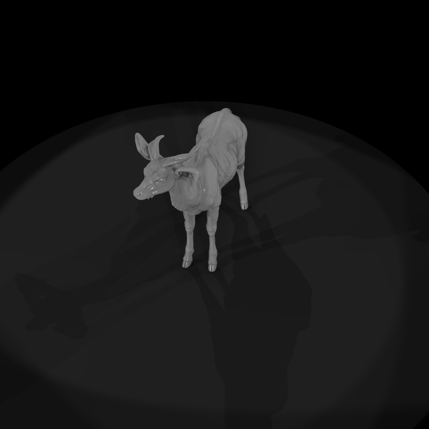 Young Greater Kudu