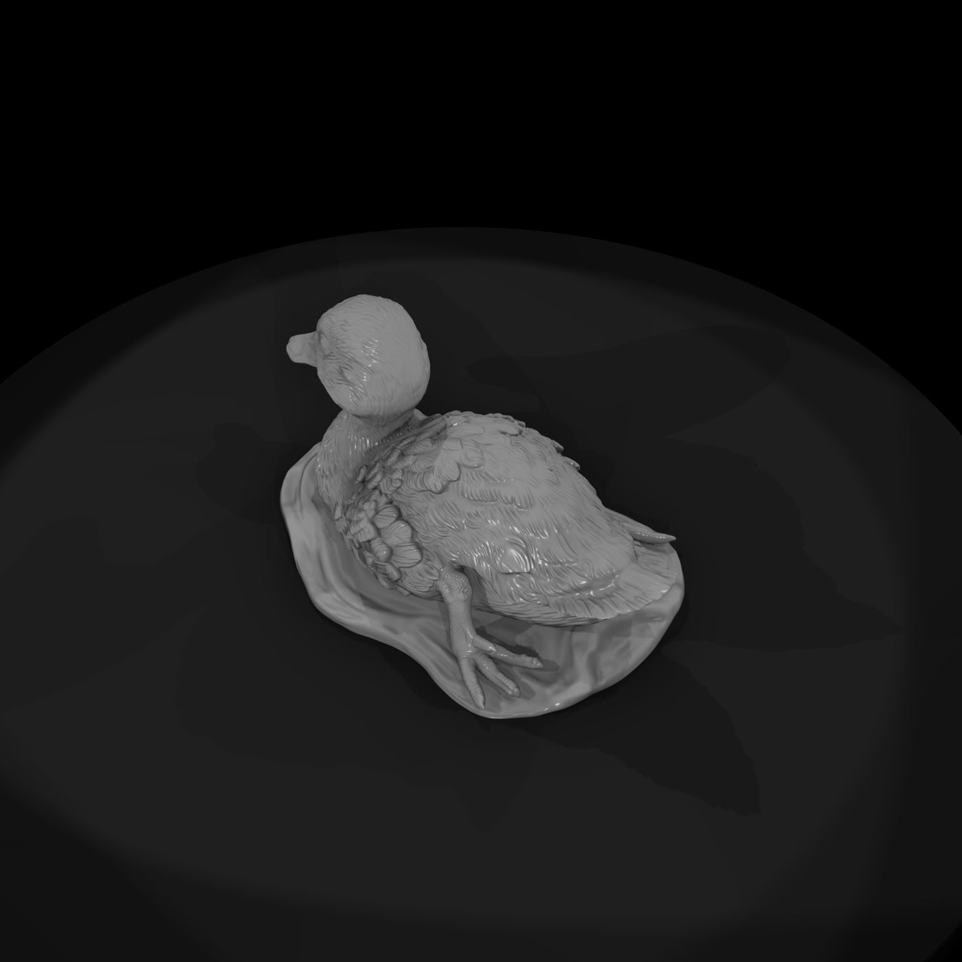 ant-090-mallard-adolescent