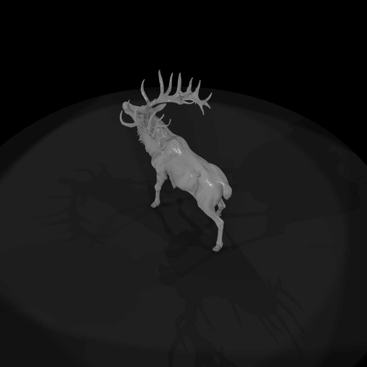 Male Elk