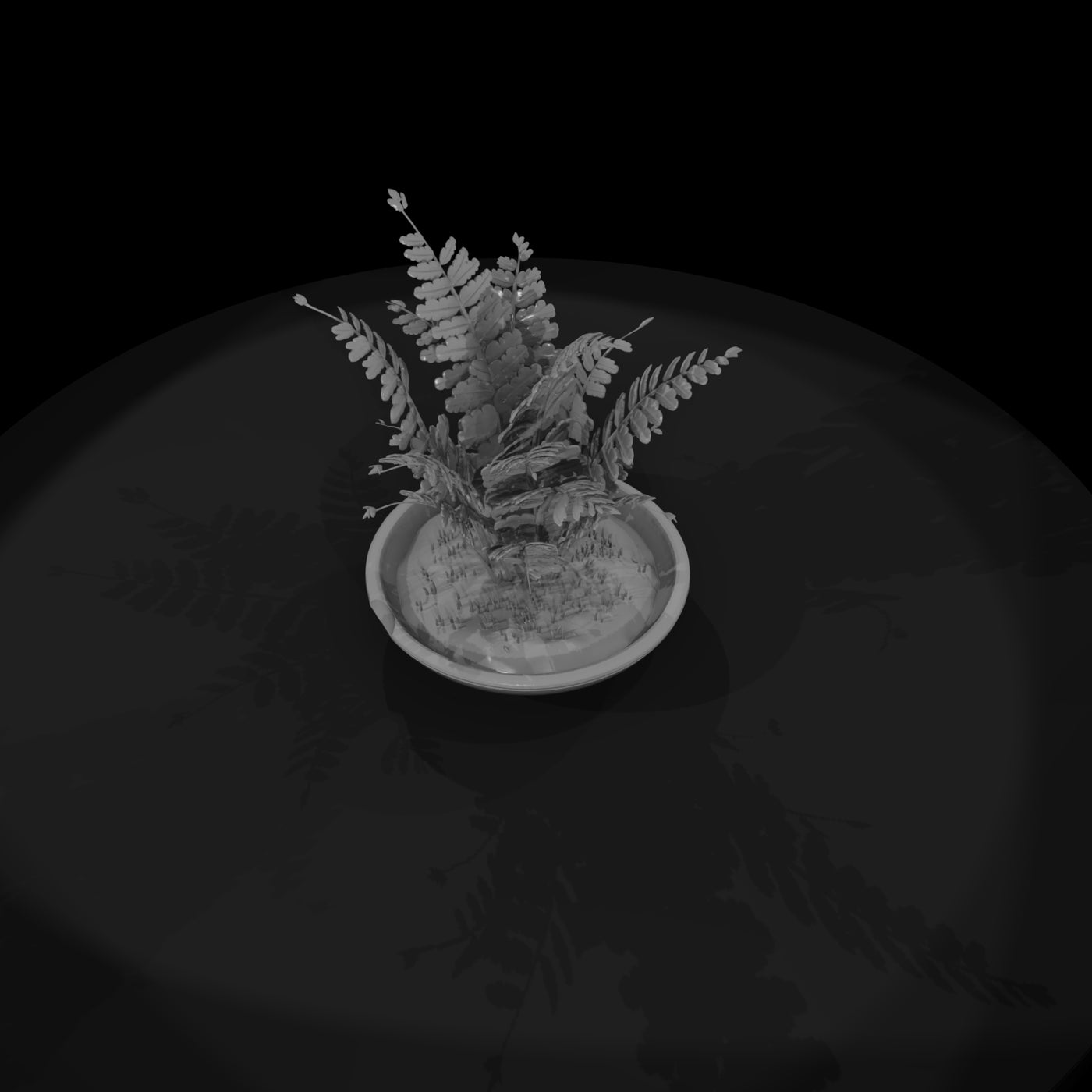 stylized-monochrome-potted-fern-3d-model-1qq57jce
