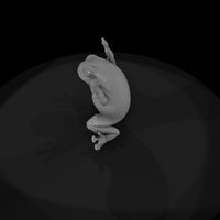 low-poly-stylized-tree-frog-figurine-562875 — thumbnail 7
