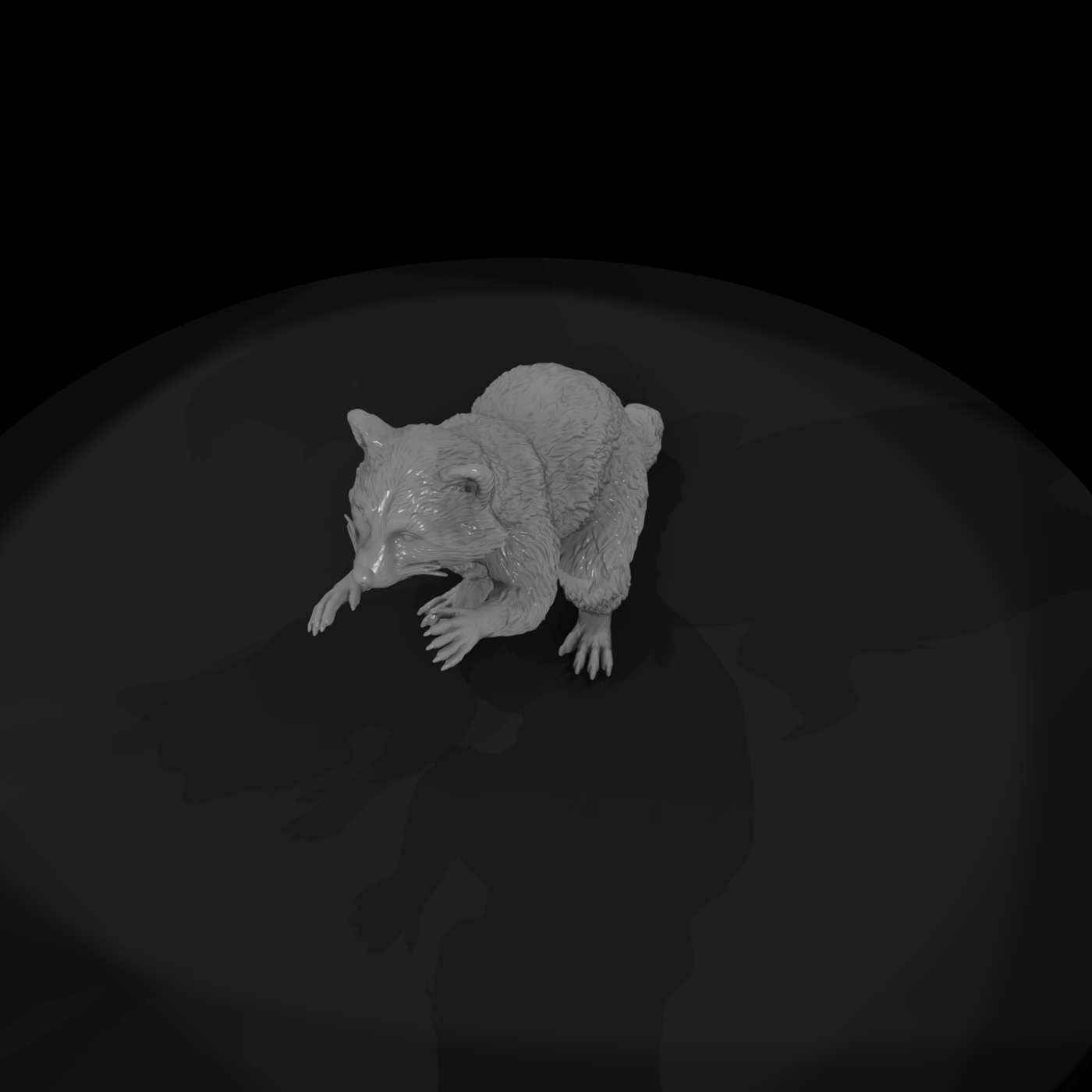 Ww 0329 Animal Raccoon