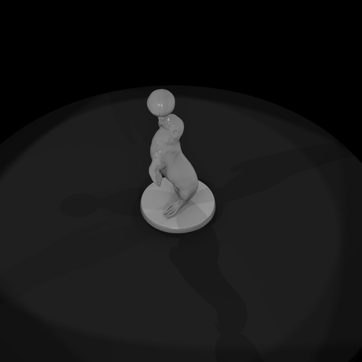cir-119-animal-balancing-seal