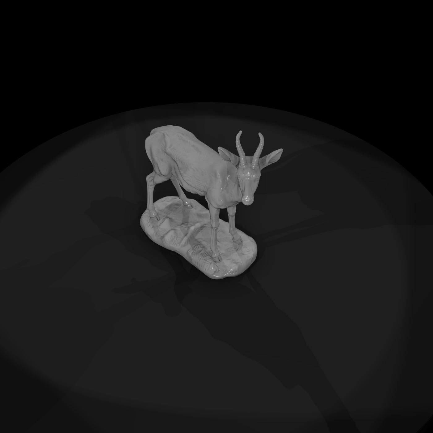 ant-239-springbok-female
