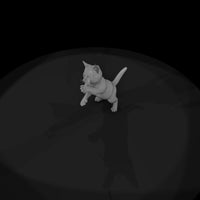 a-collection-of-housecats-playful-ebe86e7a-meshref — thumbnail 6