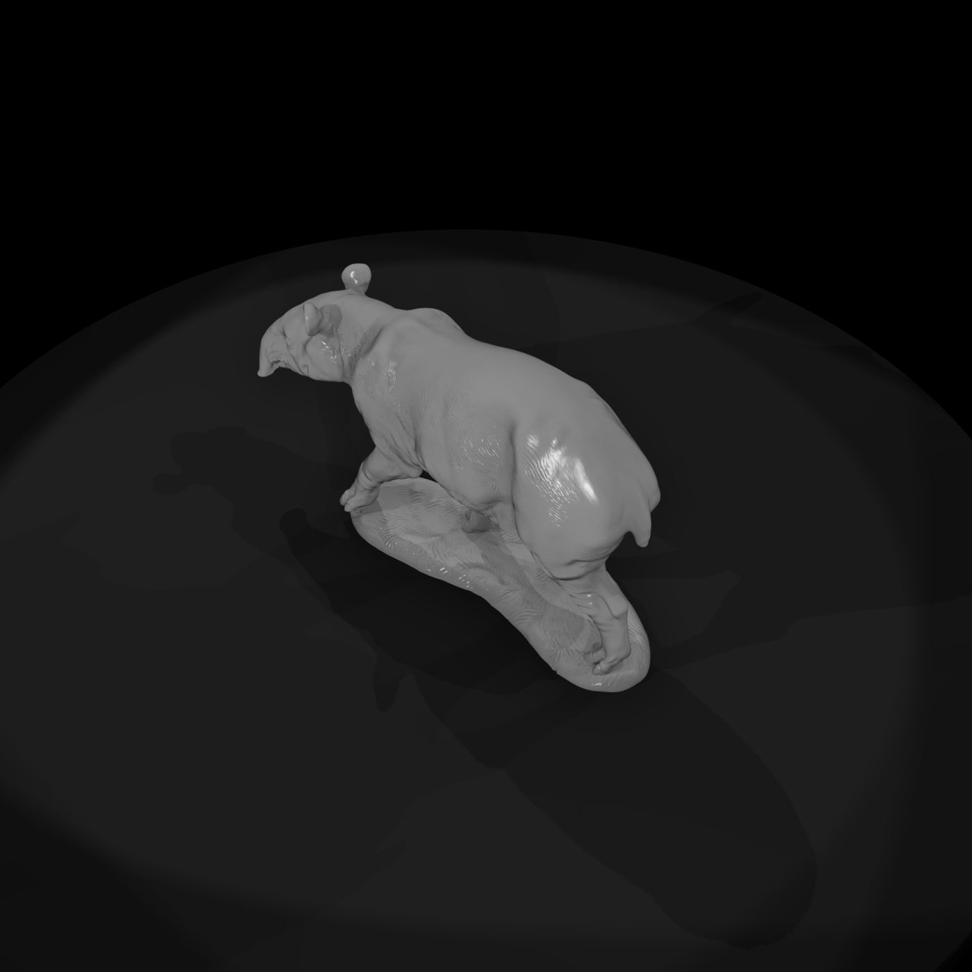 ant-254-malayan-tapir-female