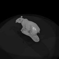 ant-254-malayan-tapir-female — thumbnail 6
