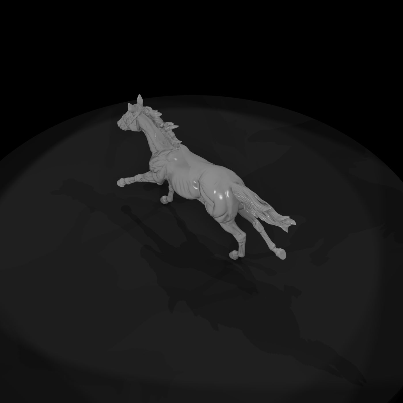 ww-0286-animal-galloping-horse