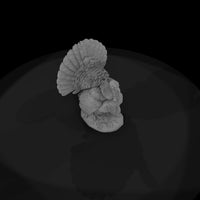 ww-0350-animal-wild-turkey — thumbnail 6