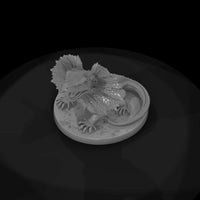 hitem2-p066-frilled-reef-lizard — thumbnail 6