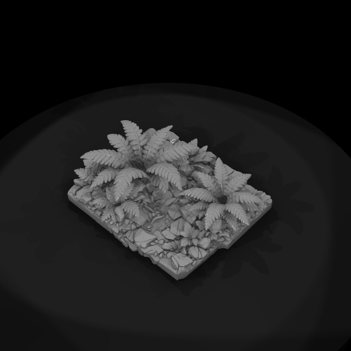 hitem2-p021-fern-undergrowth-patch