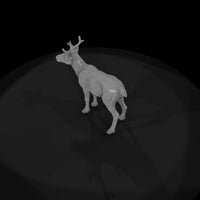 ant-063-caribou-adolescent — thumbnail 6