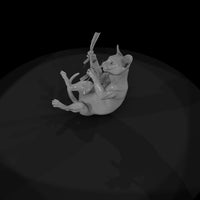 a-collection-of-housecats-tonkinese-5157f07a-meshr — thumbnail 6