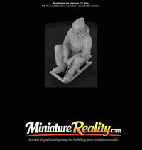 winter-skier-adult-man-on-wooden-sled — thumbnail 6
