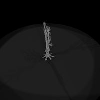 20260612-bare-tree-illustration-0a7f0c83d9 — thumbnail 6