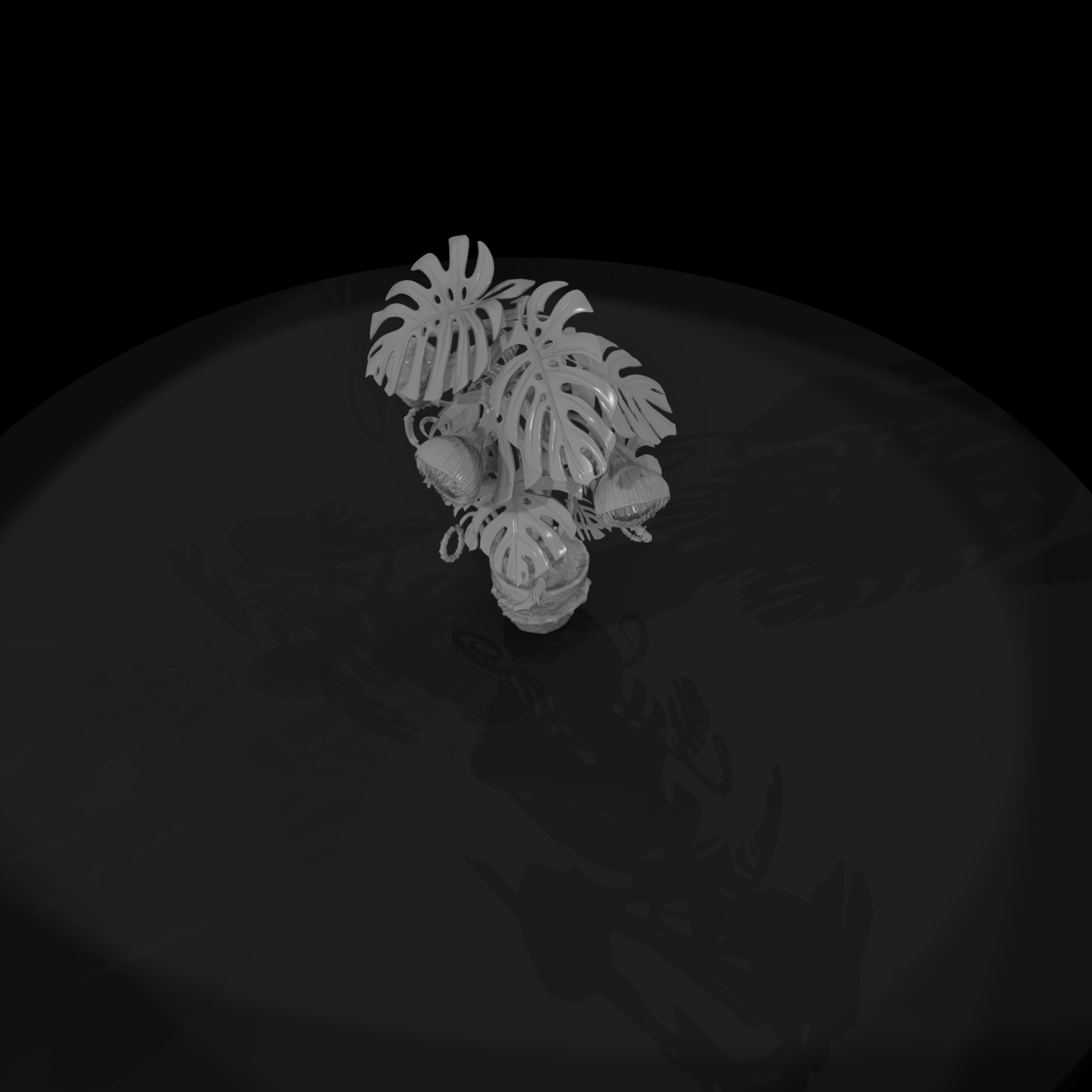 Monstera Devourer — Carnivorous Plant