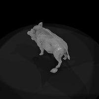 ant-074-wild-boar-female — thumbnail 6