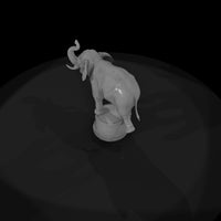 cir-111-animal-circus-elephant-on-tub — thumbnail 6