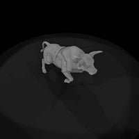 bucking-bull — thumbnail 8