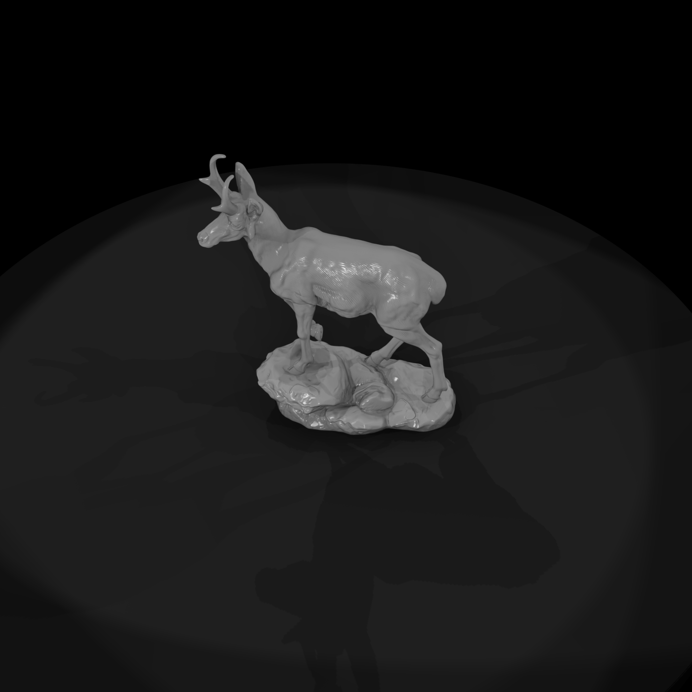 Ww 0315 Animal Pronghorn