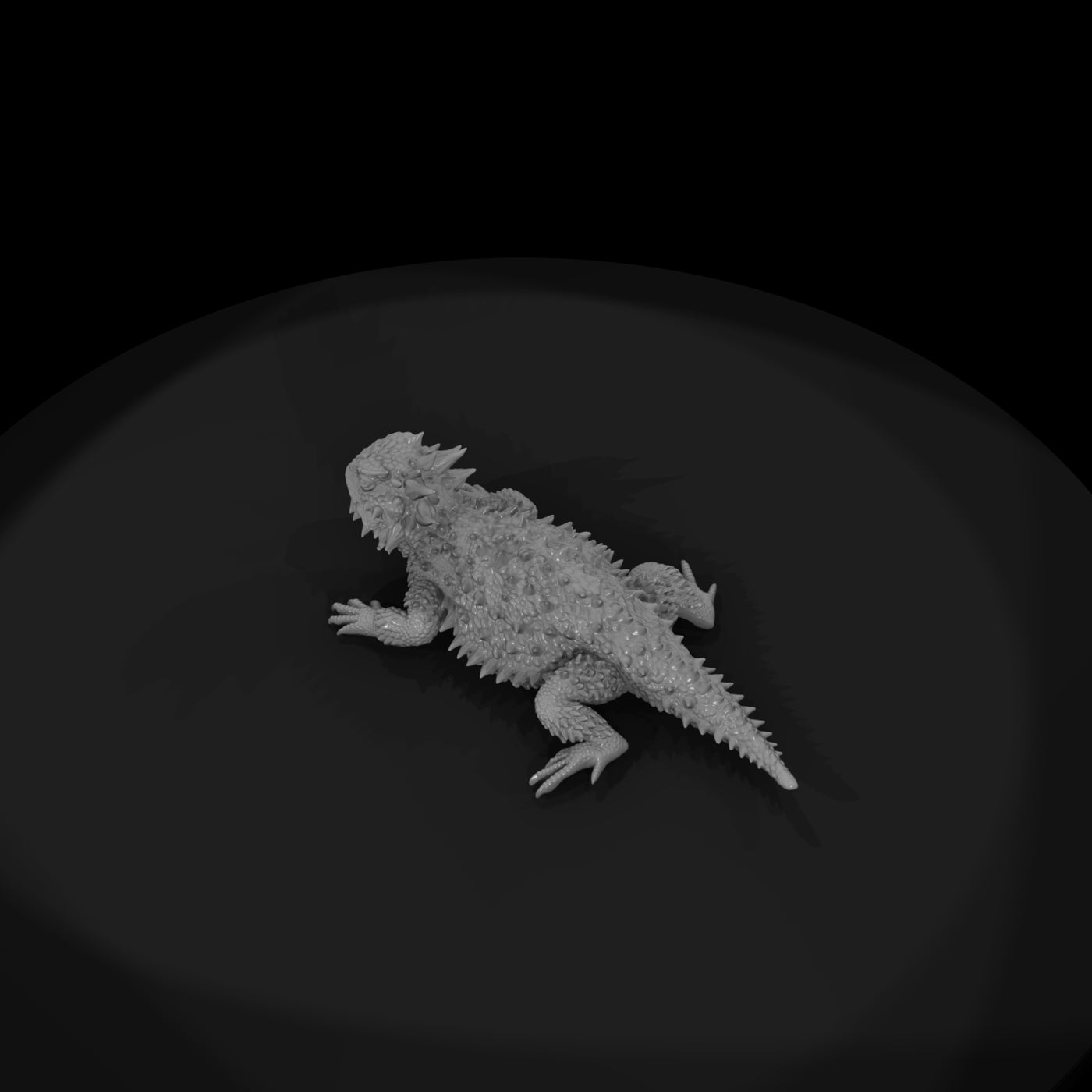 ww-0336-animal-horned-lizard