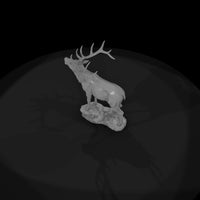 ant-043-elk-male — thumbnail 6