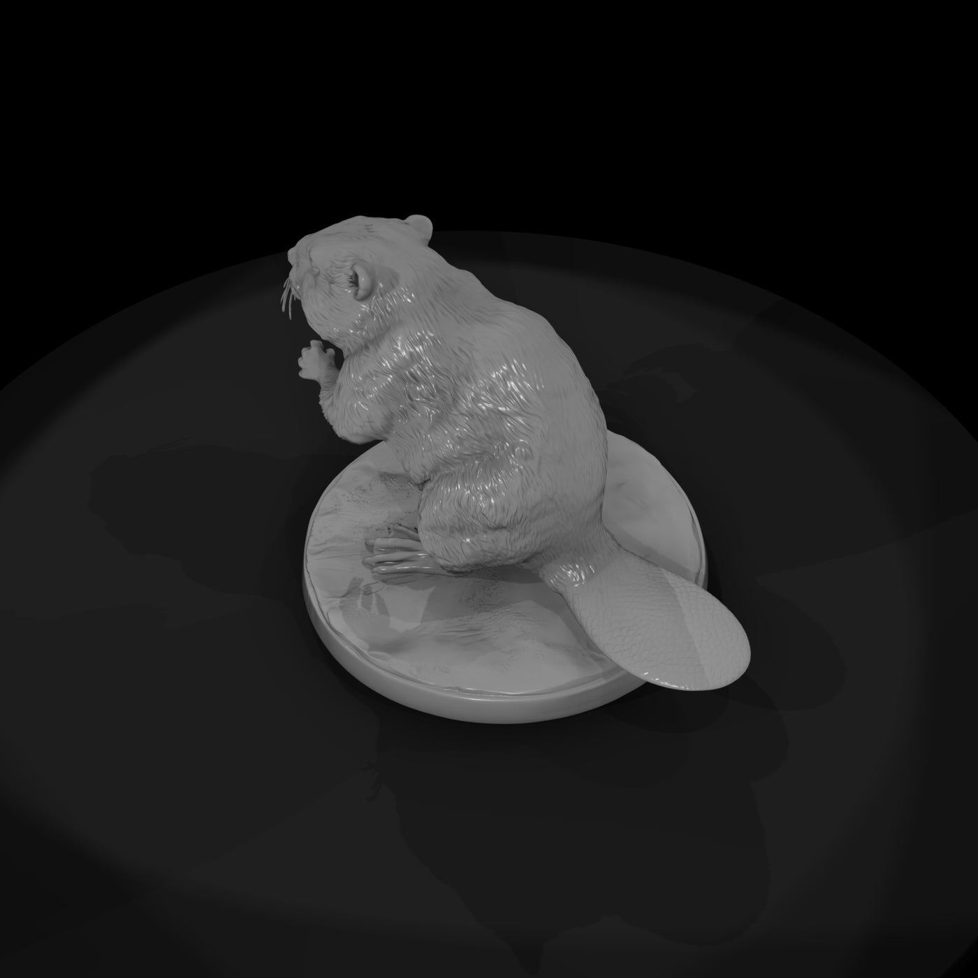ant-188-beaver-female