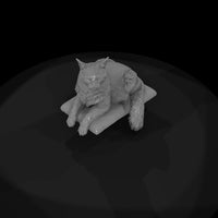a-collection-of-housecats-maine-b6239969-meshref — thumbnail 6