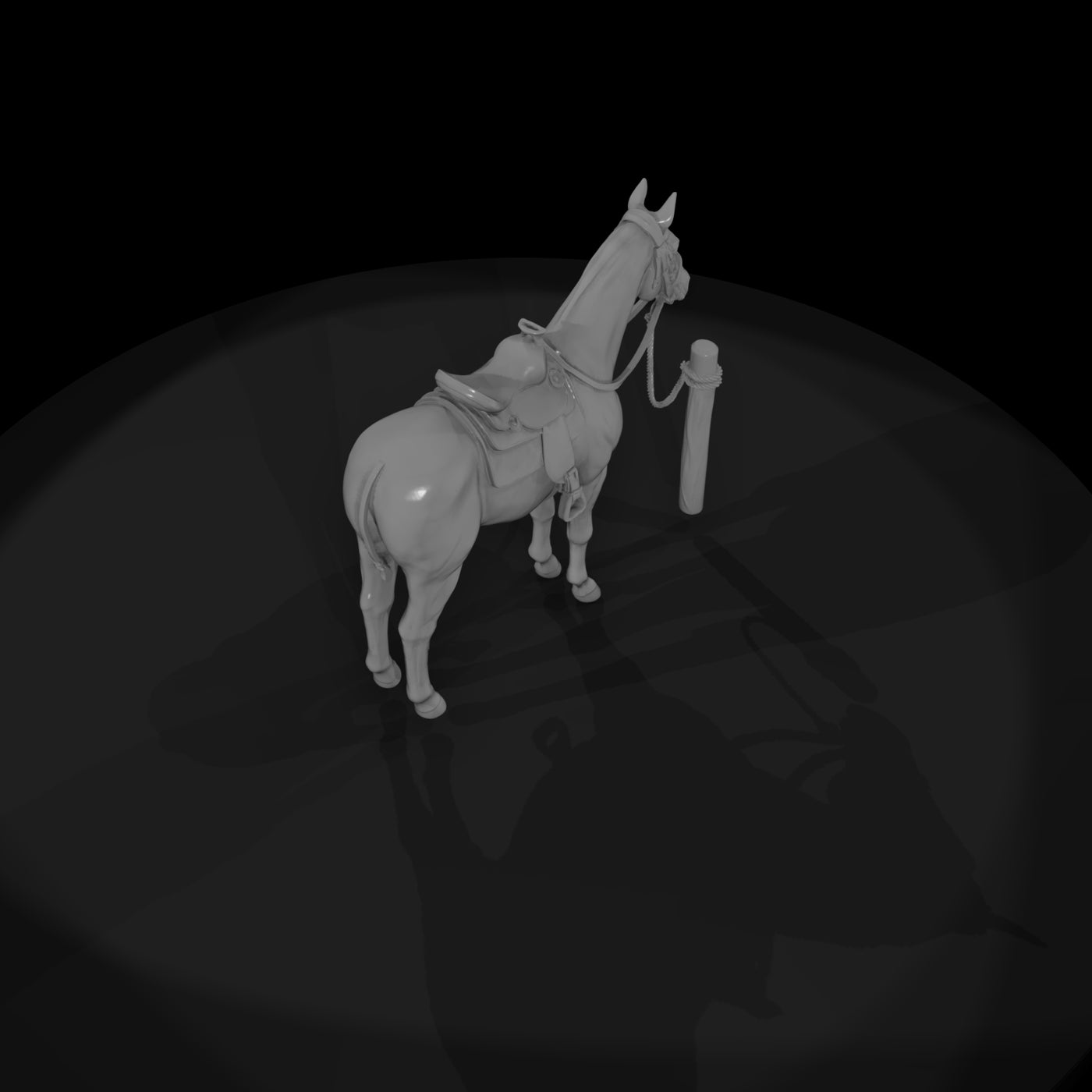 horse-white