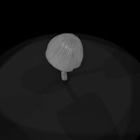 conical-wild-mushroom-diorama-terrain-400252 — thumbnail 7