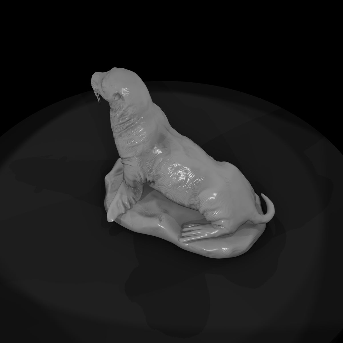 ant-140-sea-lion-female