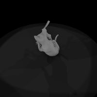 sphynx-cat-figurine-hairless-cat-miniature-900073 — thumbnail 7