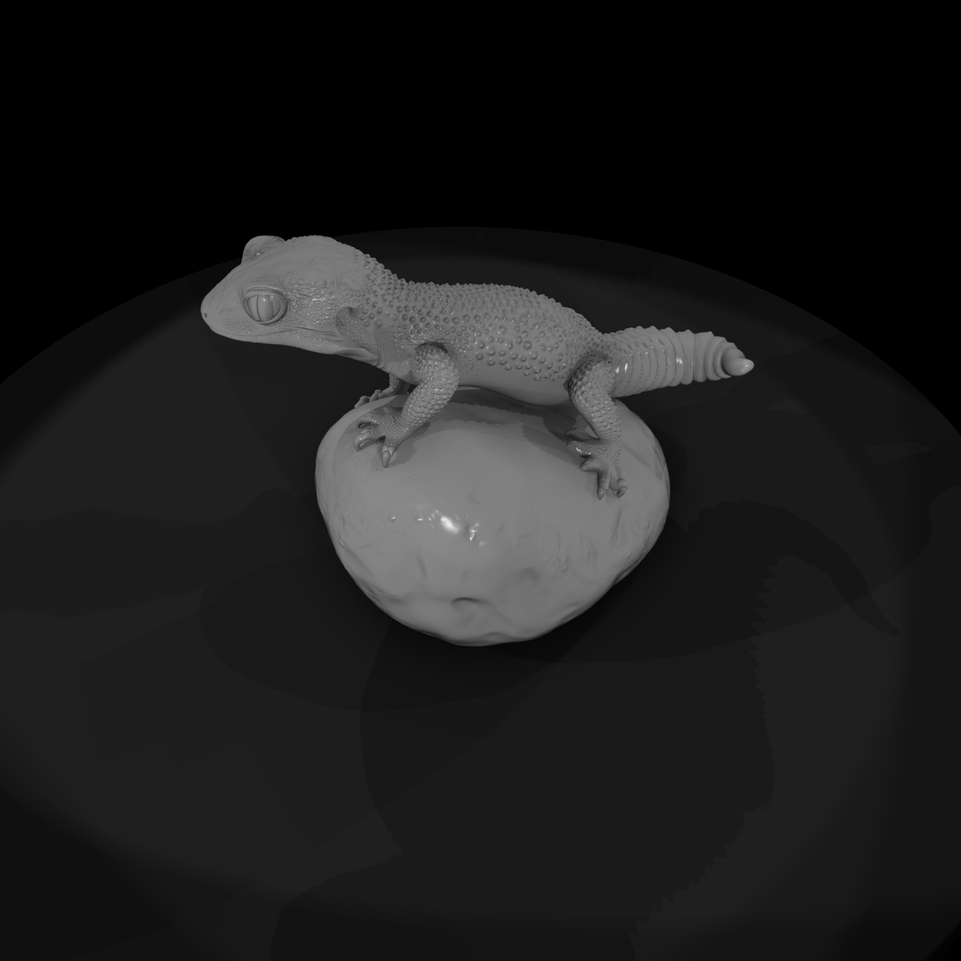 Leopard Gecko on Rock
