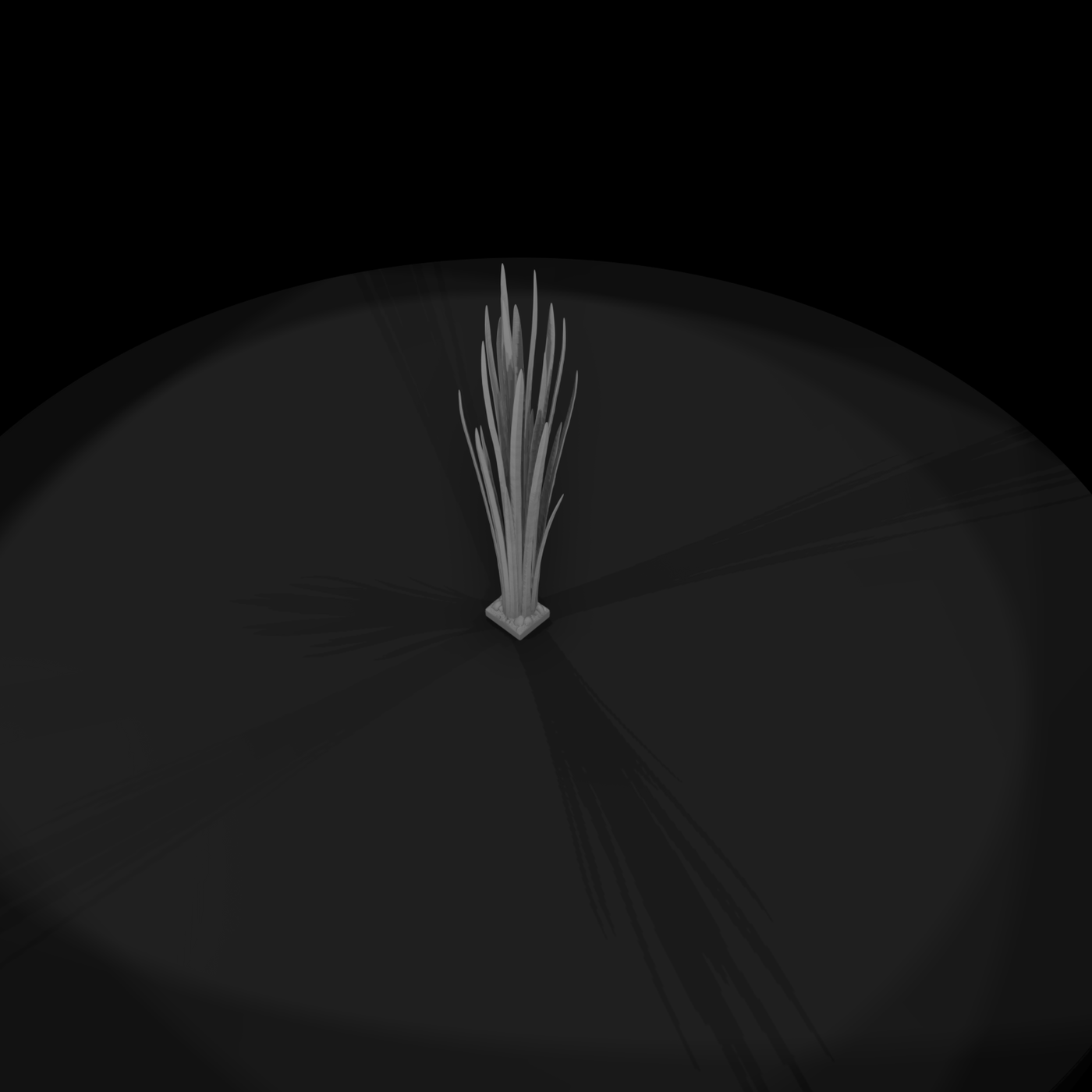 Tall Ornamental Grass Clump