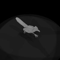 ww-0348-animal-roadrunner — thumbnail 6