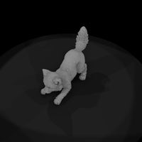 ant-174-arctic-fox-adolescent — thumbnail 6