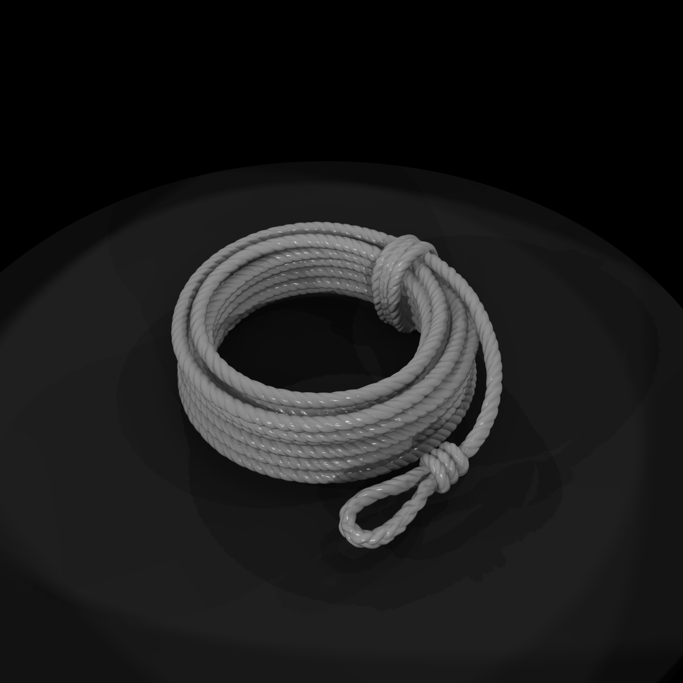 Coiled Lariat Rope