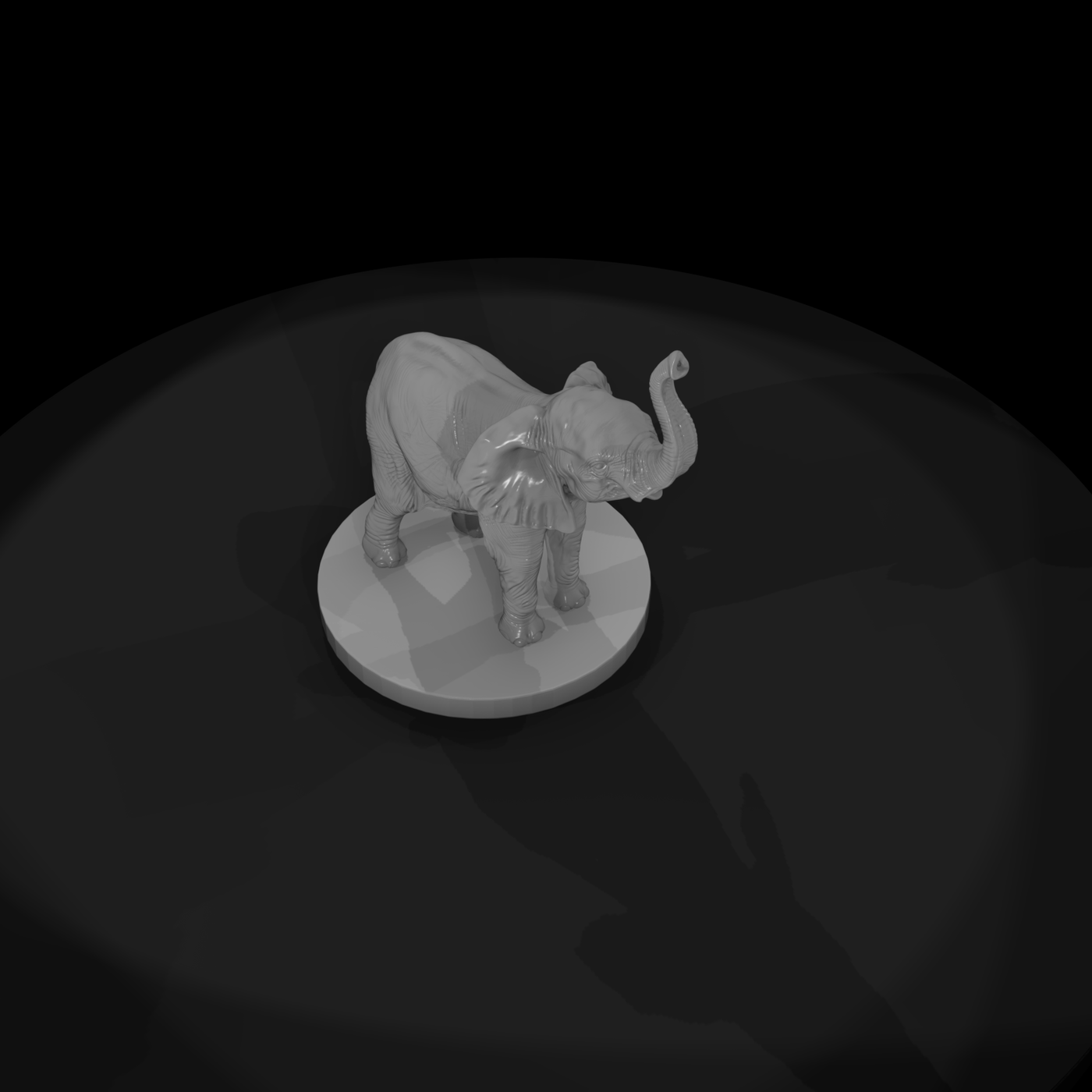 Young African Elephant