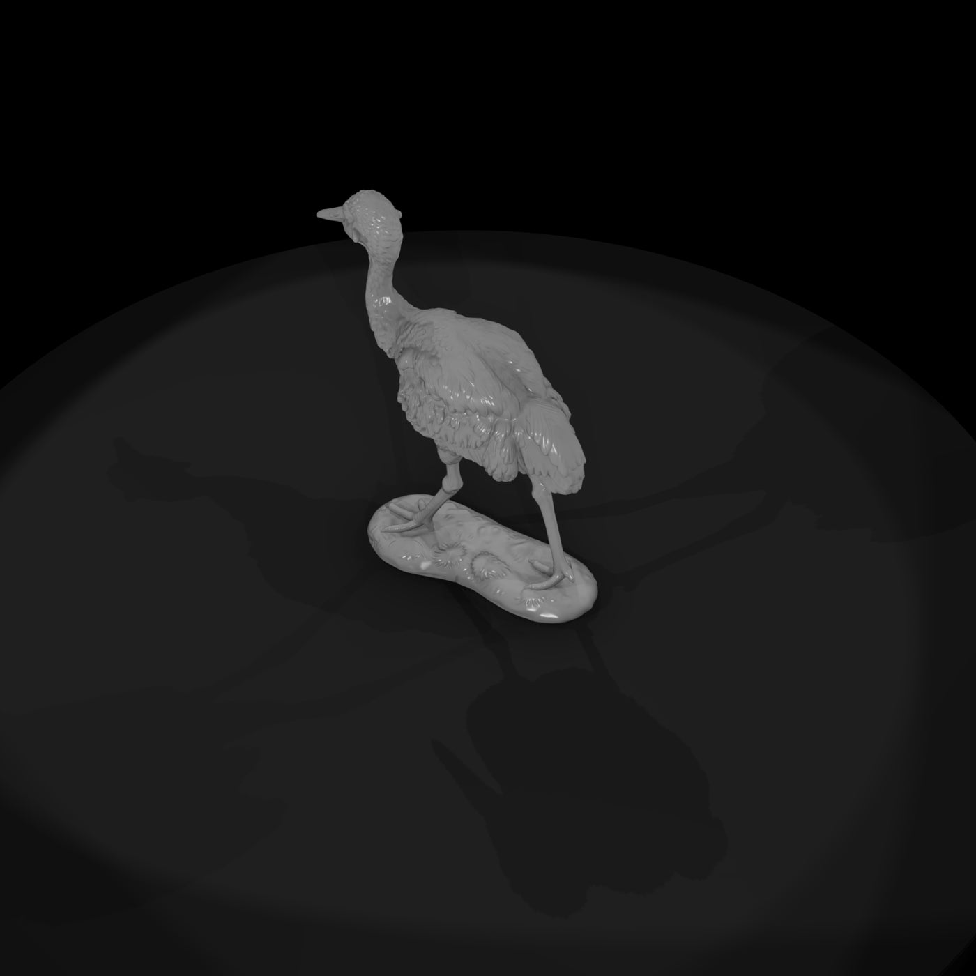ant-132-sandhill-crane-adolescent