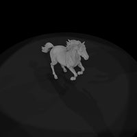 pinto-pony — thumbnail 8