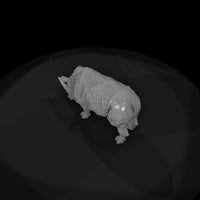 ant-031-white-rhinoceros-male — thumbnail 6