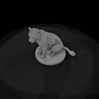 ant-005-bengal-tiger-female — thumbnail 6