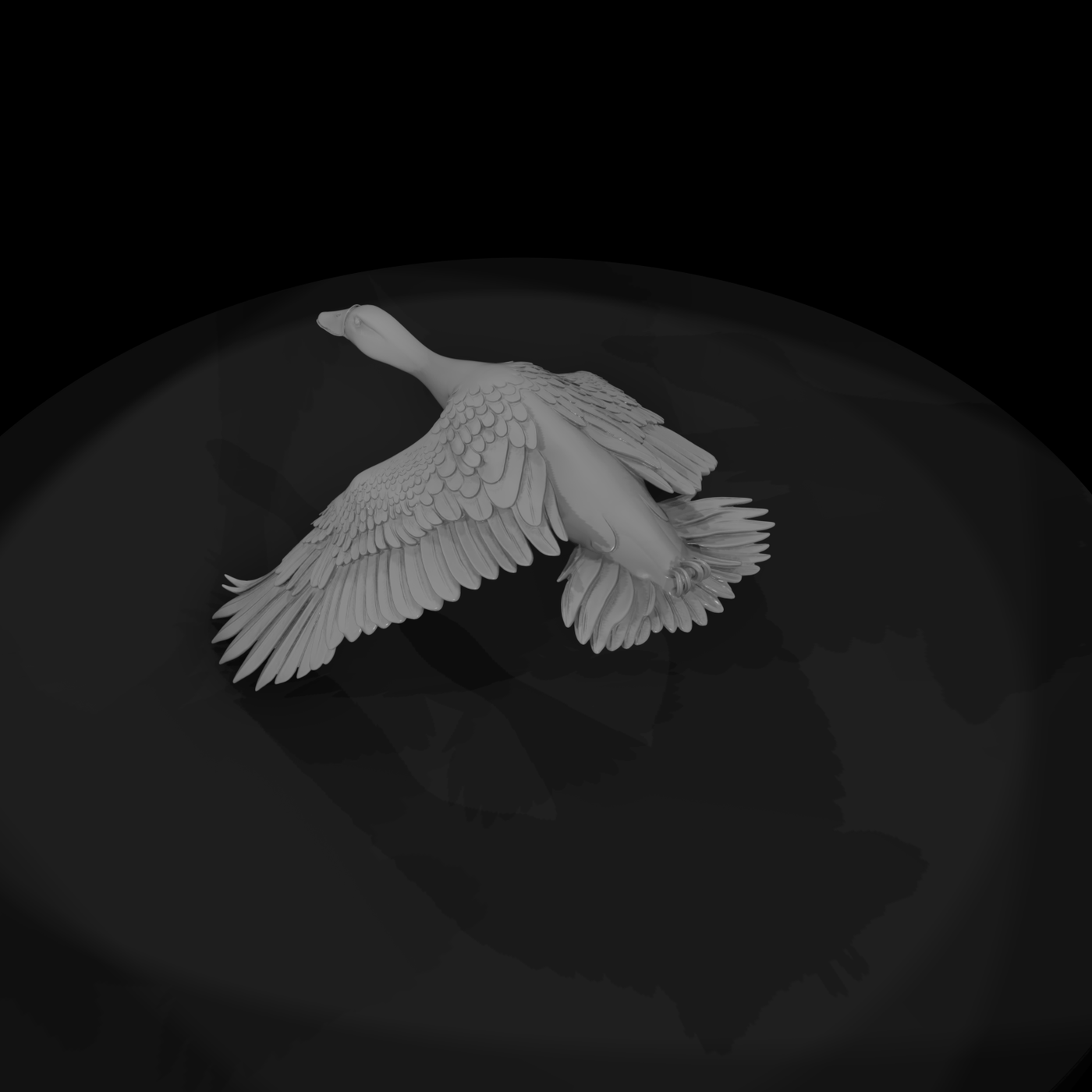 Flying Duck