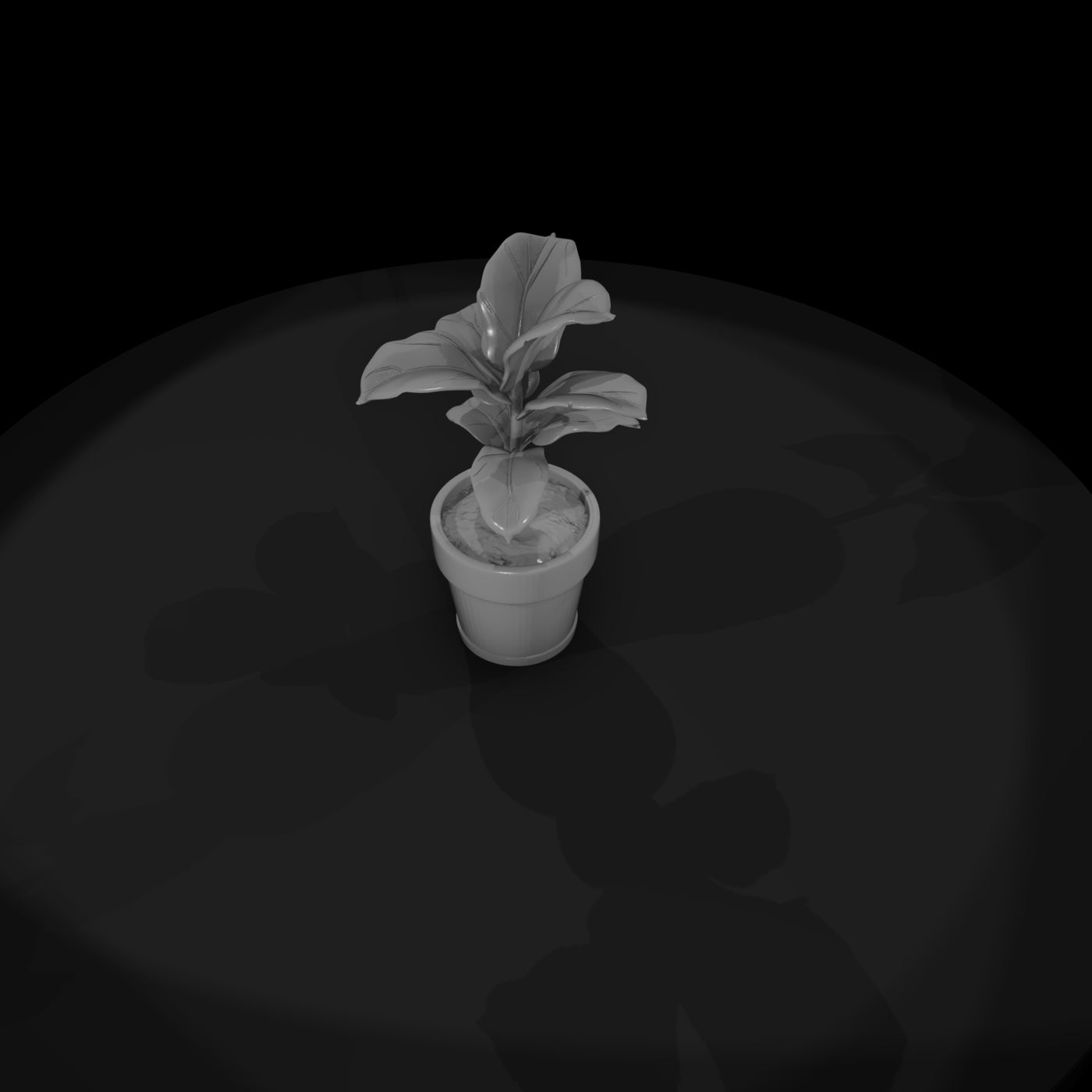 stylized-monochrome-potted-fiddle-leaf-fig-socjkaw