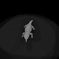 ww-0334-animal-gila-monster — thumbnail 6