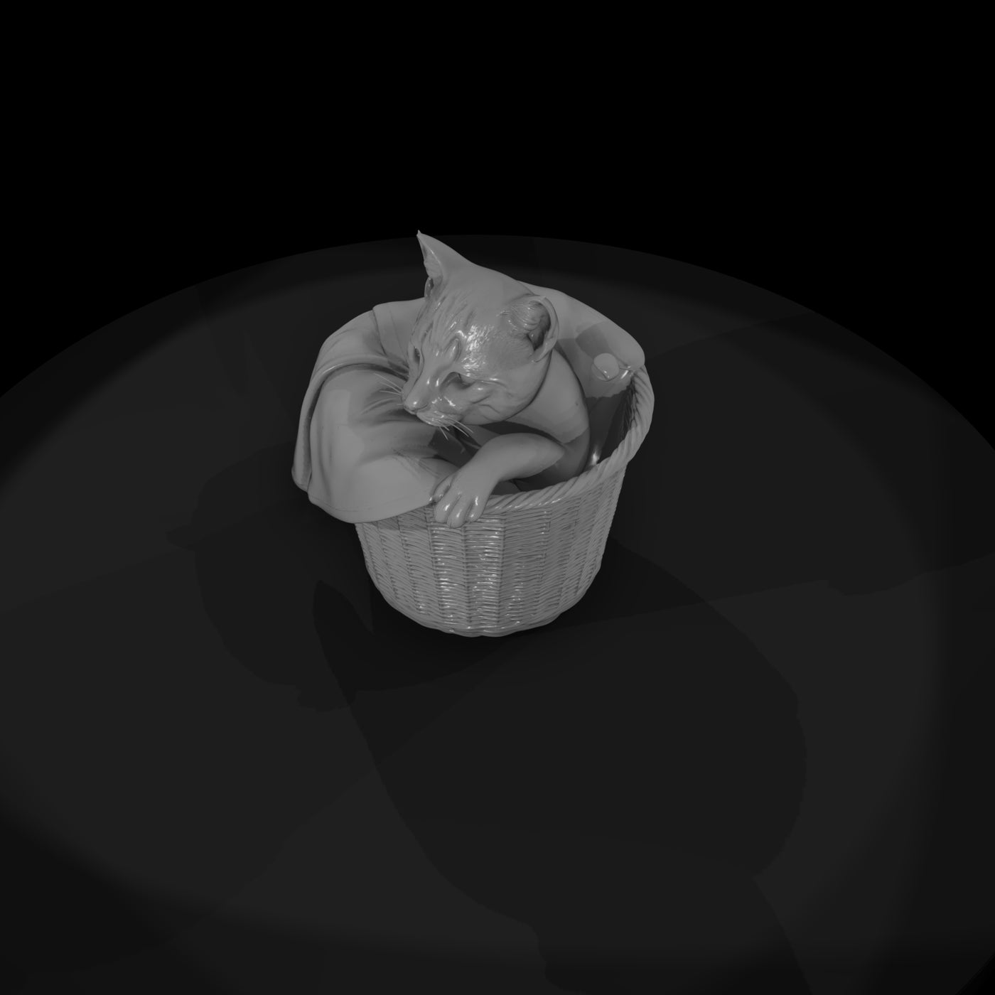 a-collection-of-housecats-curious-262ed8b6-meshref