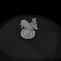 cir-123-animal-zebra — thumbnail 6